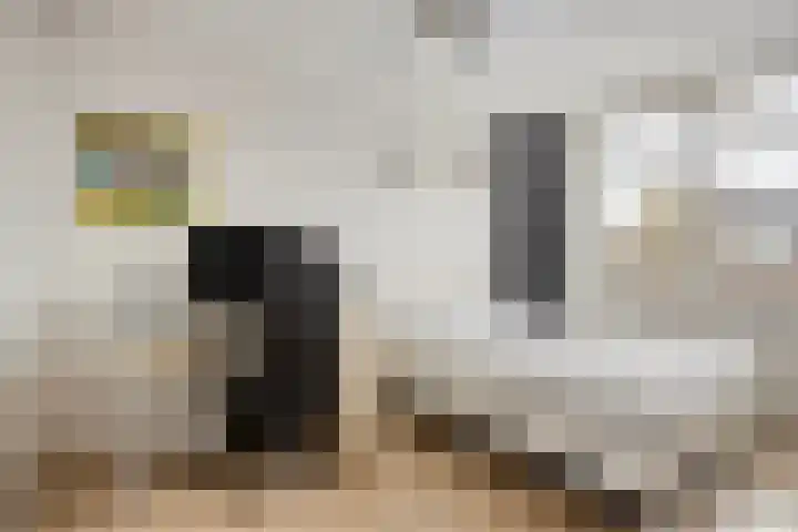 Stadhouderslaan 90 Zoeterwoude thumbnail 26