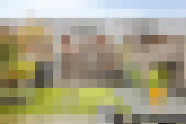 Stadhouderslaan 90 Zoeterwoude thumbnail 39