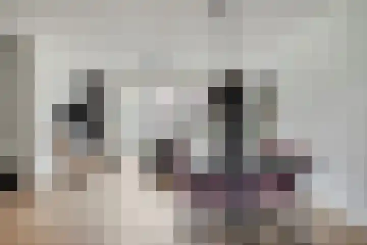 Stadhouderslaan 90 Zoeterwoude thumbnail 4