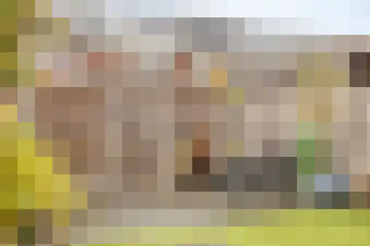 Stadhouderslaan 90 Zoeterwoude thumbnail 42