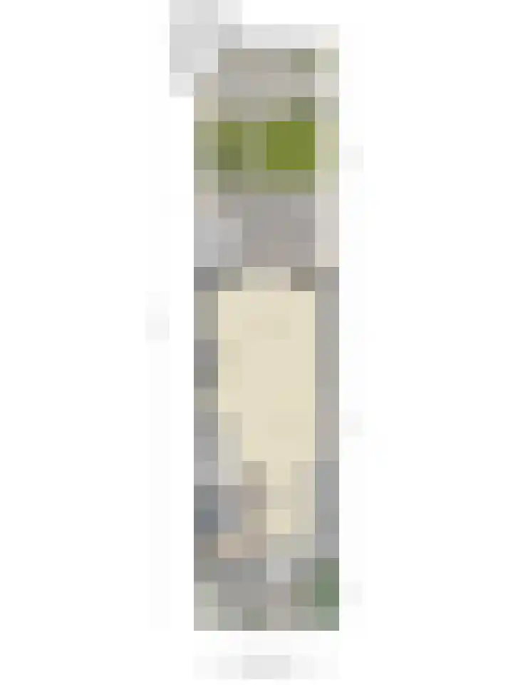 Stadhouderslaan 90 Zoeterwoude thumbnail 47