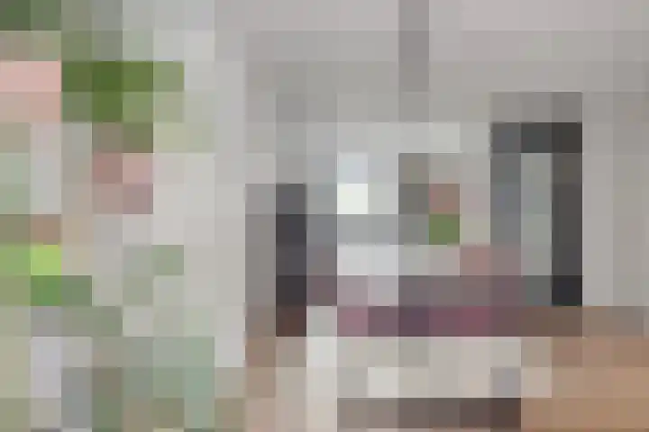 Stadhouderslaan 90 Zoeterwoude thumbnail 8