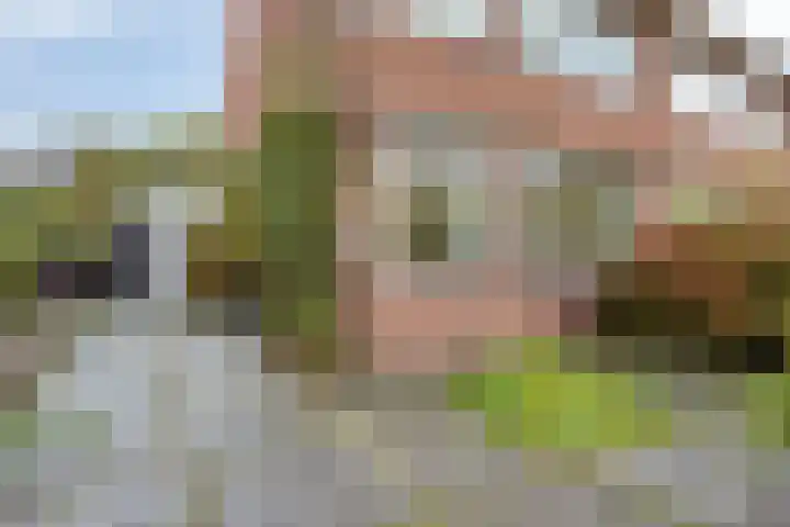 Stadhouderslaan 95 Schiedam thumbnail 5
