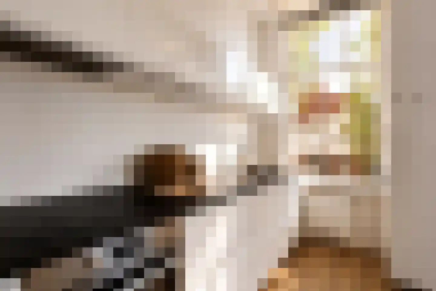 Stadhouderslaan 99 Utrecht thumbnail 11
