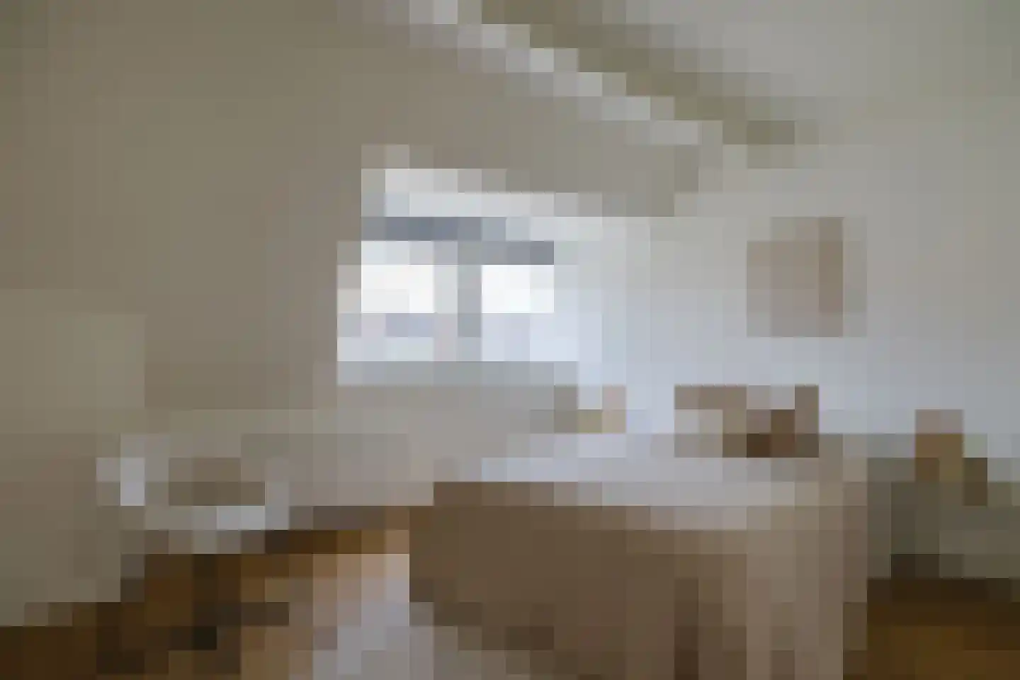 Stadhouderslaan 99 Utrecht thumbnail 17
