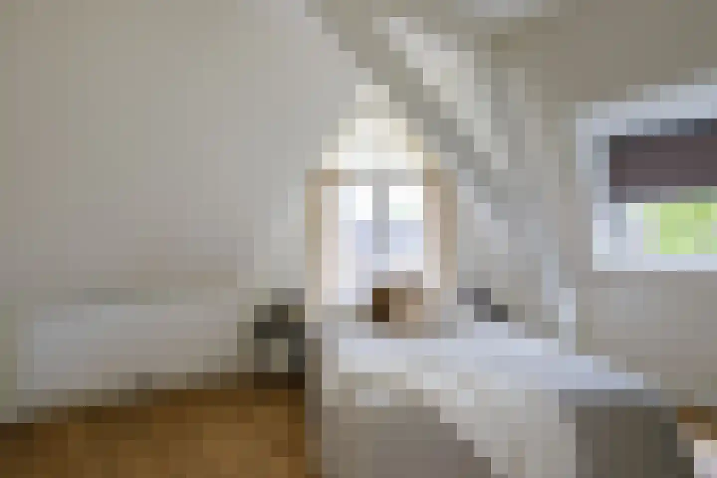 Stadhouderslaan 99 Utrecht thumbnail 19