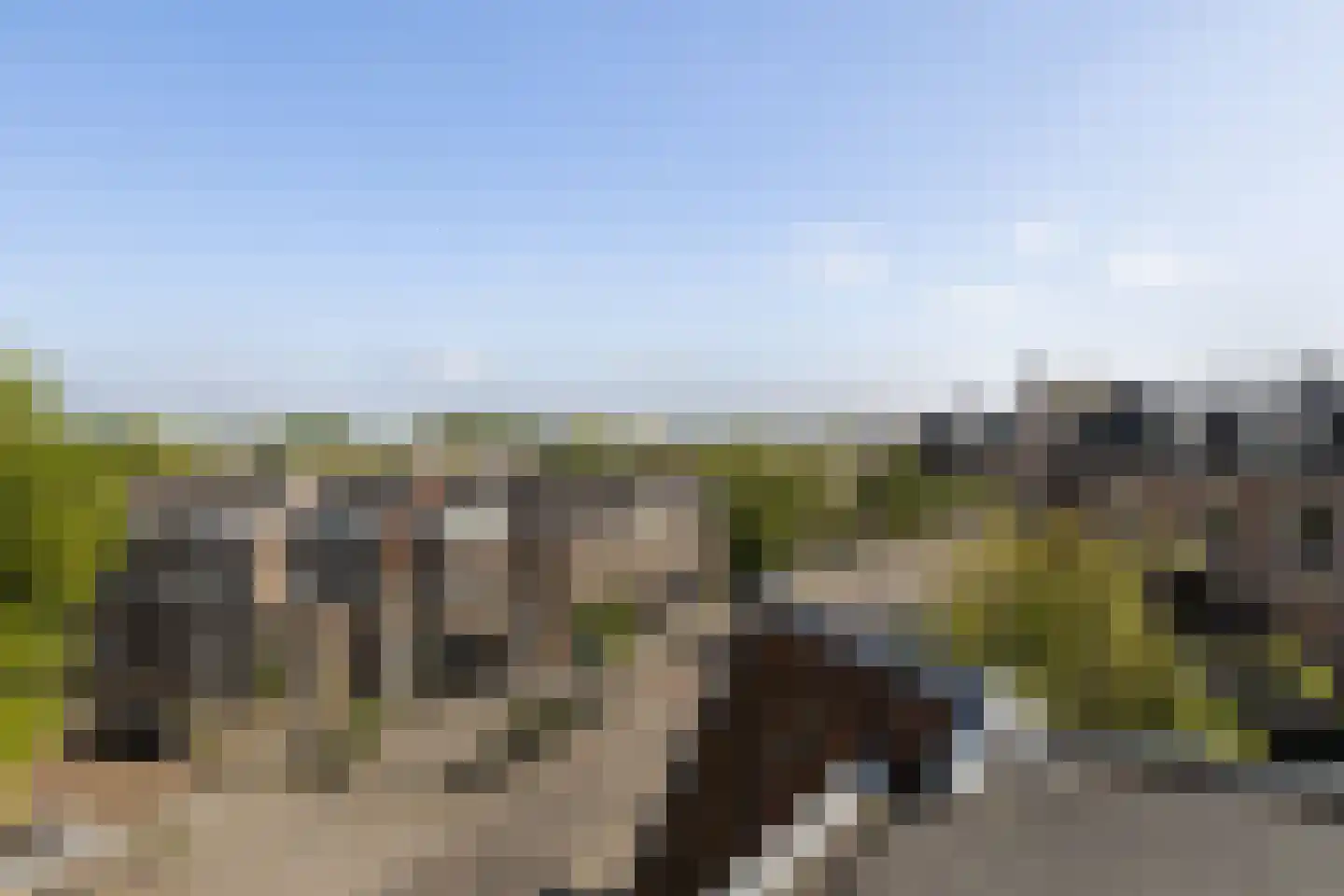 Stadhouderslaan 99 Utrecht thumbnail 26