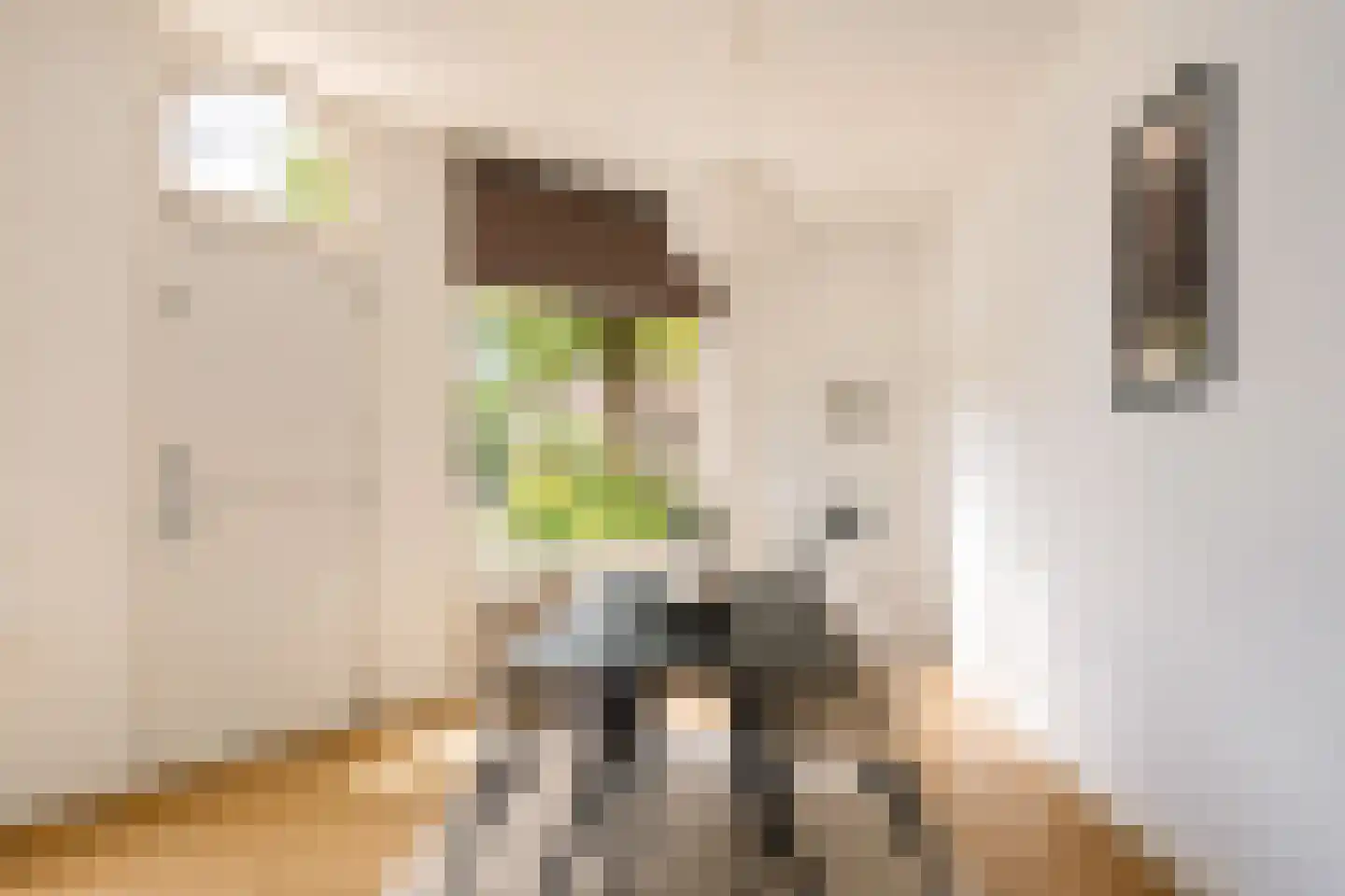 Stadhouderslaan 99 Utrecht thumbnail 31