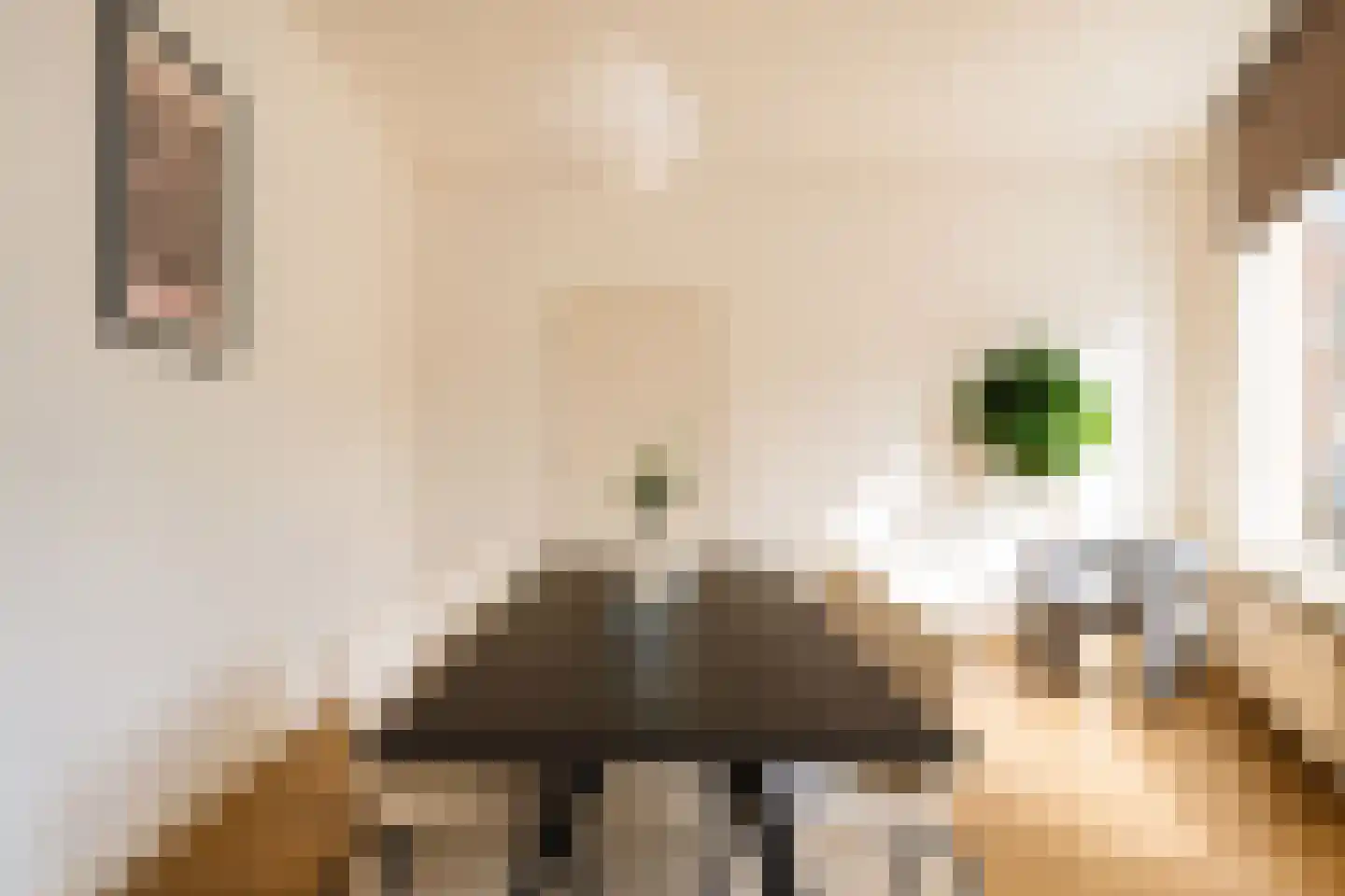 Stadhouderslaan 99 Utrecht thumbnail 33