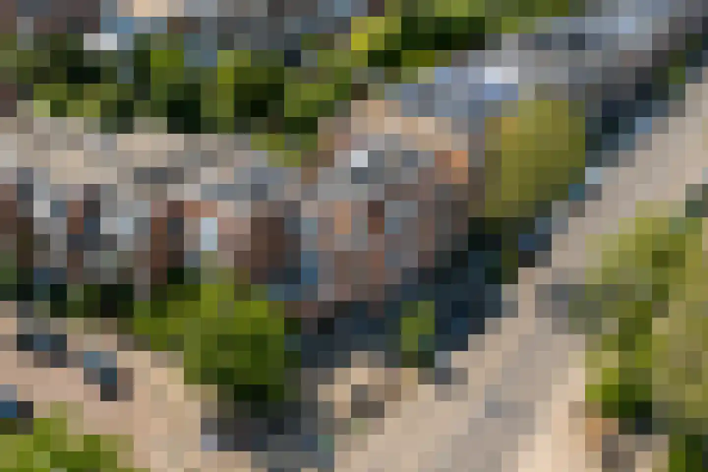 Stadhouderslaan 99 Utrecht thumbnail 42