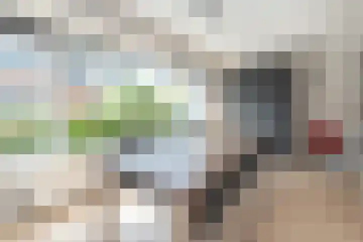 Stadhoudersland 41 Houten thumbnail 12