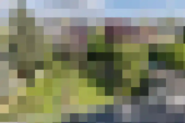 Stadhoudersland 41 Houten thumbnail 30