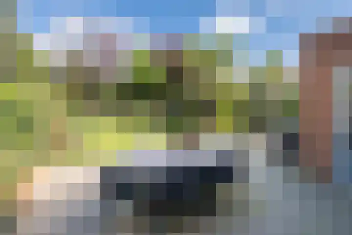 Stadhoudersland 41 Houten thumbnail 37