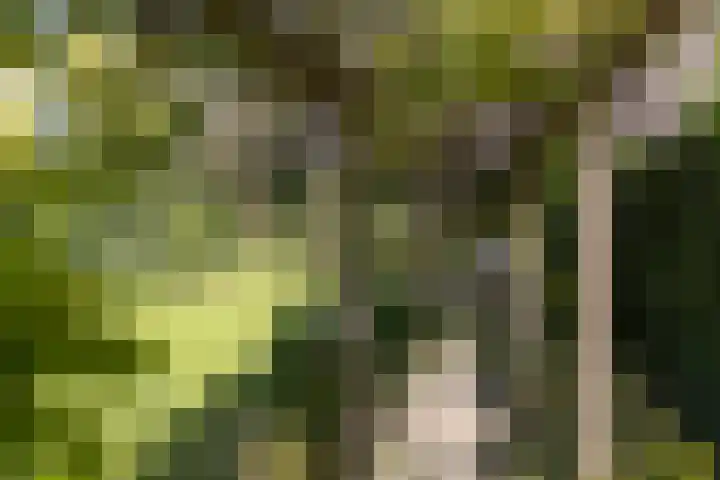 Stadhoudersland 41 Houten thumbnail 42
