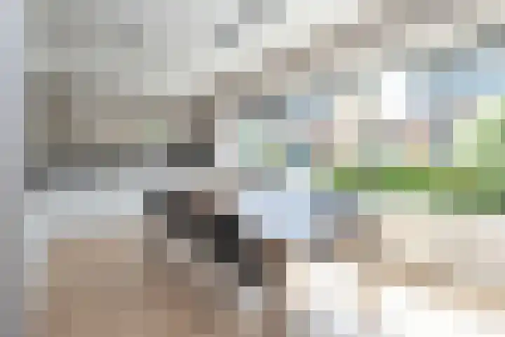 Stadhoudersland 41 Houten thumbnail 9