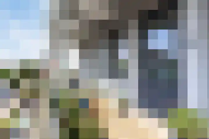 Stadhoudersplantsoen 10 C Den Haag thumbnail 16