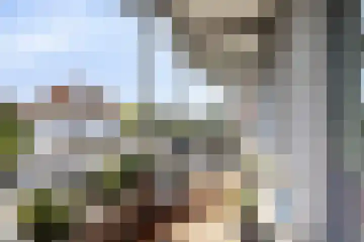 Stadhoudersplantsoen 10 C Den Haag thumbnail 4
