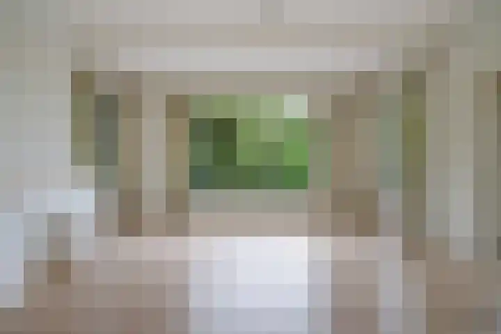 Stadhoudersplantsoen 100 Den Haag thumbnail 10