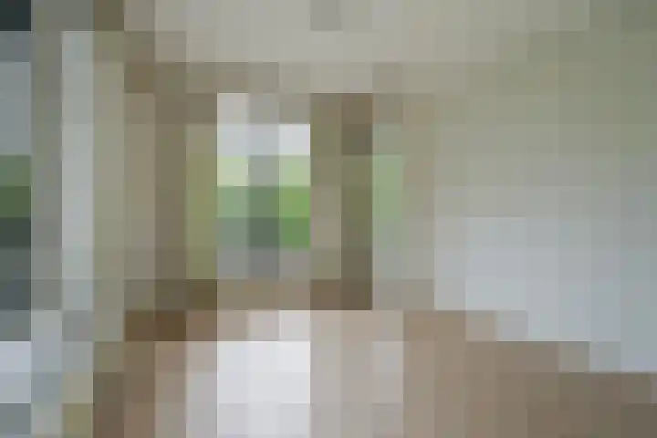 Stadhoudersplantsoen 100 Den Haag thumbnail 11