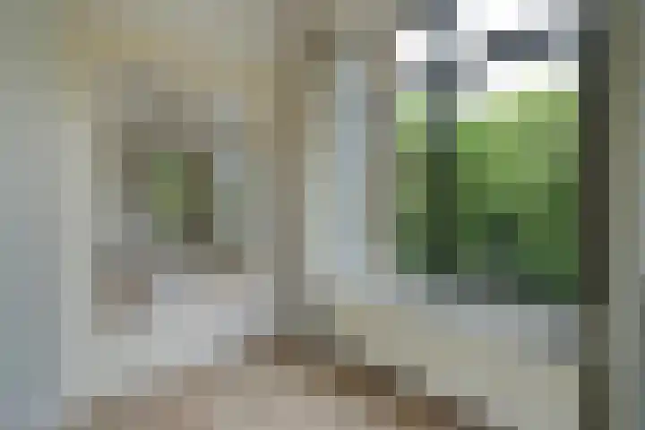 Stadhoudersplantsoen 100 Den Haag thumbnail 14