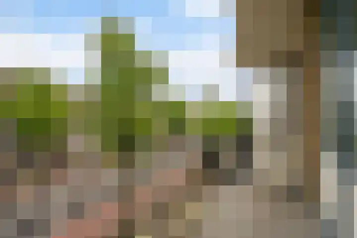 Stadhoudersplantsoen 100 Den Haag thumbnail 16