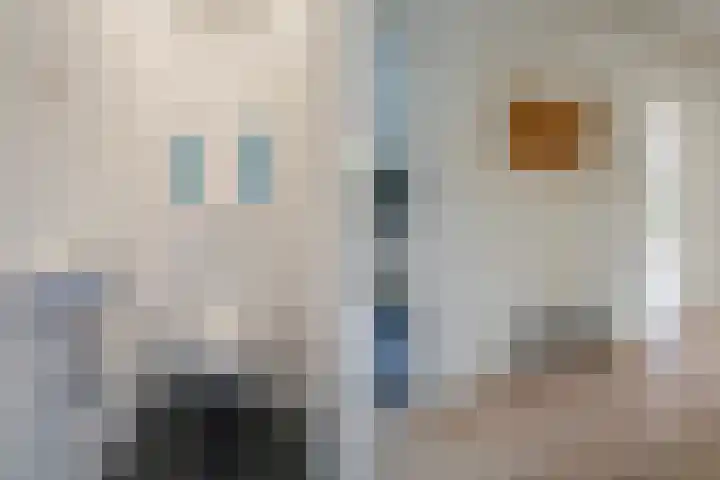 Stadhoudersplantsoen 100 Den Haag thumbnail 19