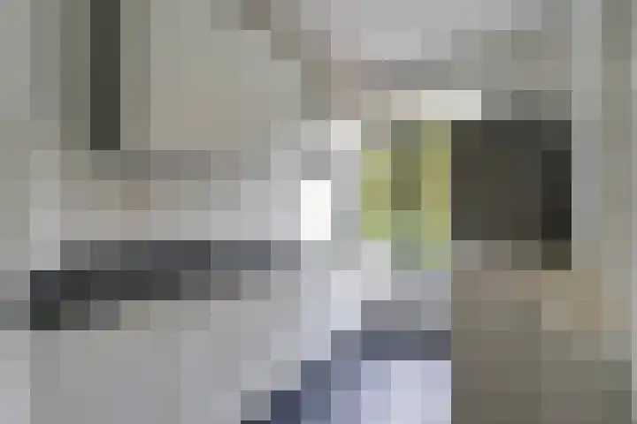 Stadhoudersplantsoen 100 Den Haag thumbnail 20