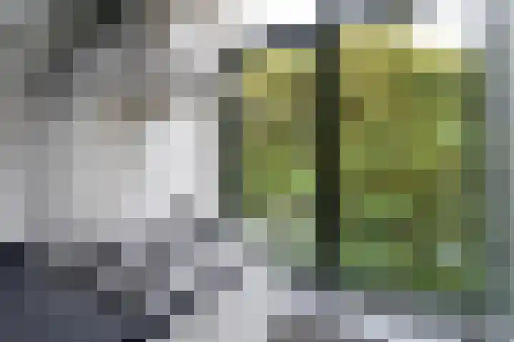 Stadhoudersplantsoen 100 Den Haag thumbnail 21