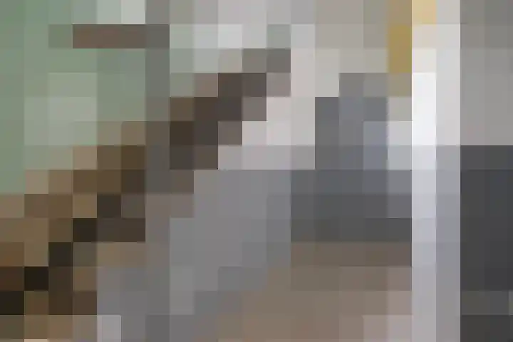 Stadhoudersplantsoen 100 Den Haag thumbnail 25