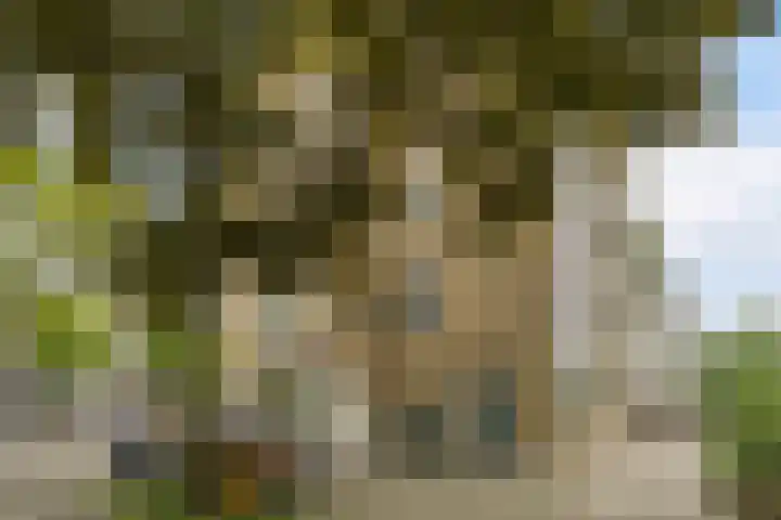 Stadhoudersplantsoen 100 Den Haag thumbnail 26