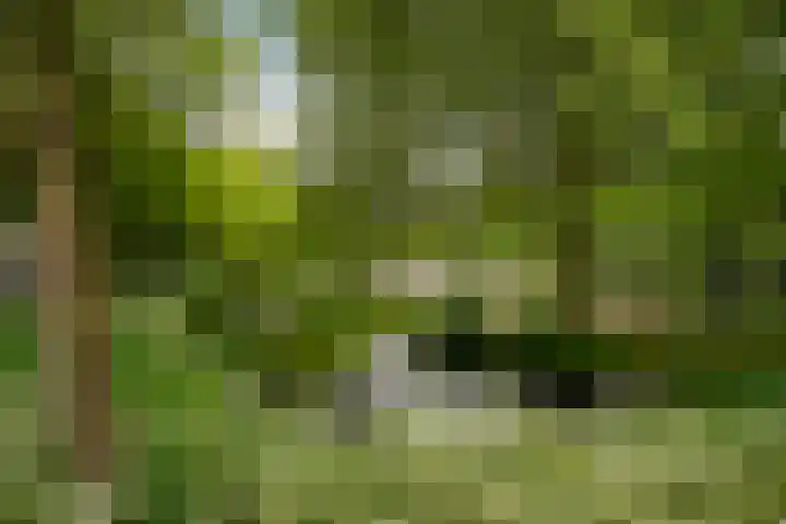Stadhoudersplantsoen 100 Den Haag thumbnail 29