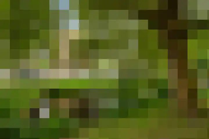 Stadhoudersplantsoen 100 Den Haag thumbnail 30