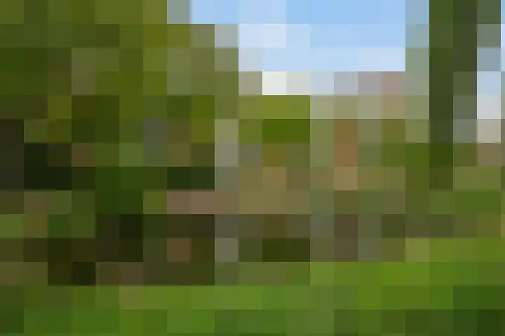 Stadhoudersplantsoen 100 Den Haag thumbnail 32