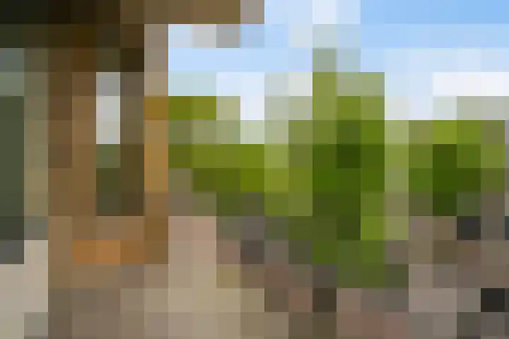 Stadhoudersplantsoen 100 Den Haag thumbnail 4