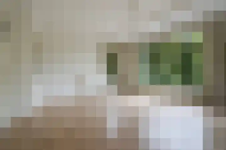 Stadhoudersplantsoen 100 Den Haag thumbnail 8