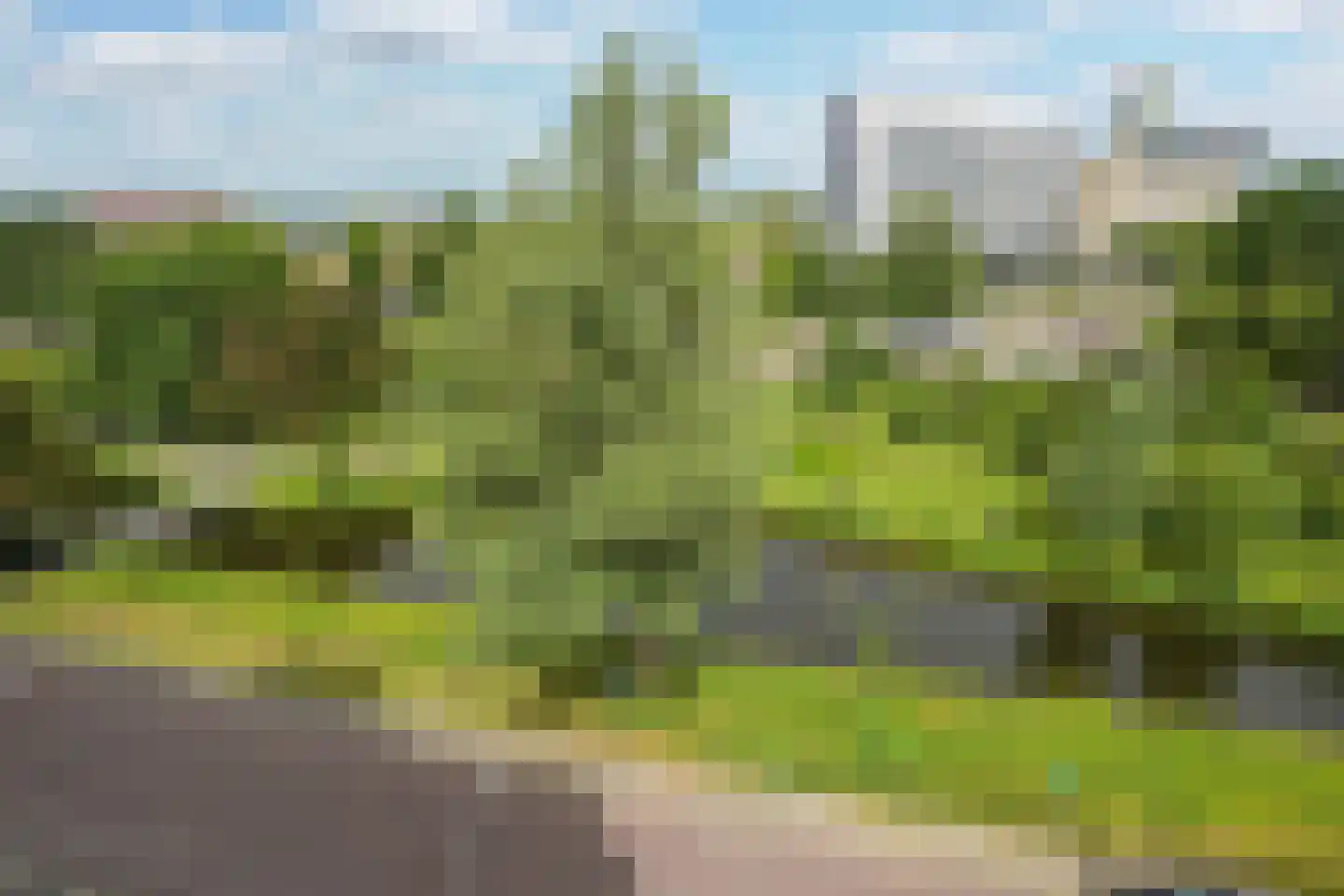 Stadhoudersplantsoen 14 Den Haag thumbnail 41