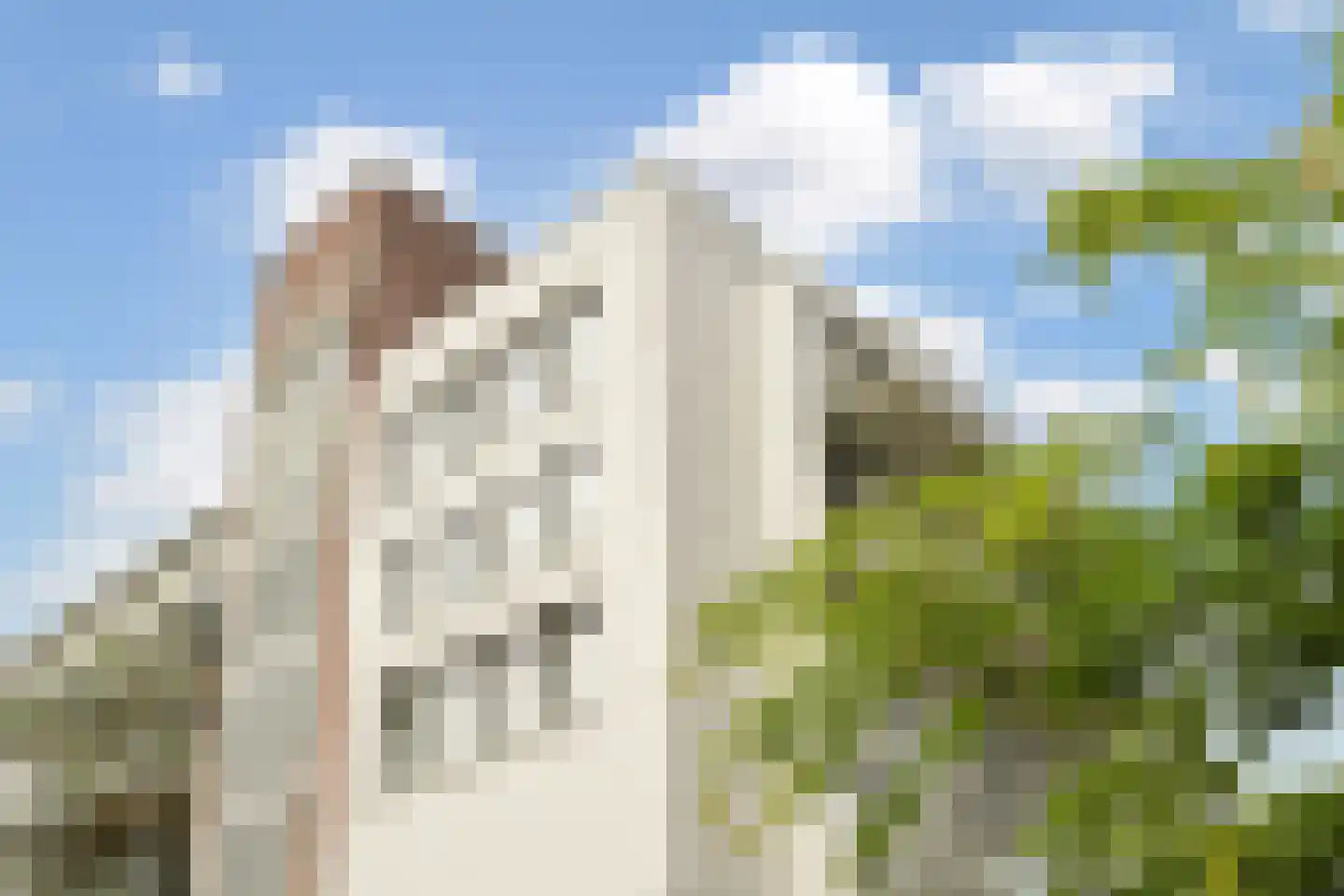 Stadhoudersplantsoen 14 Den Haag thumbnail 49