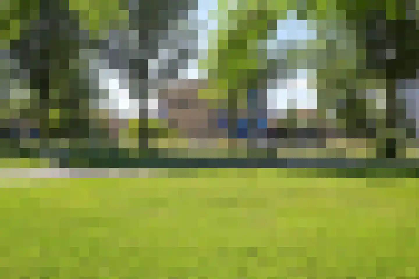 Stadhoudersplantsoen 14 Den Haag thumbnail 50