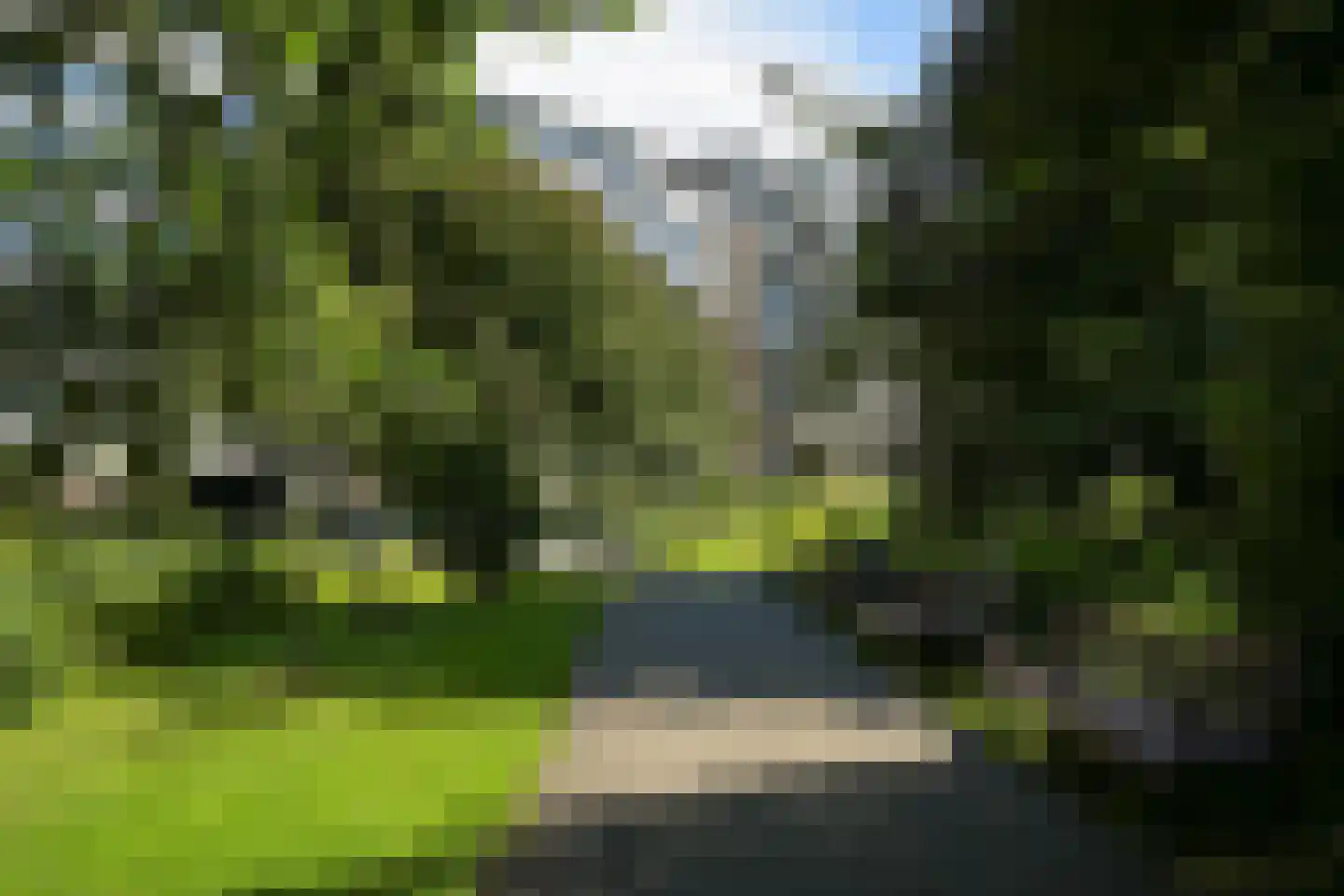 Stadhoudersplantsoen 14 Den Haag thumbnail 51