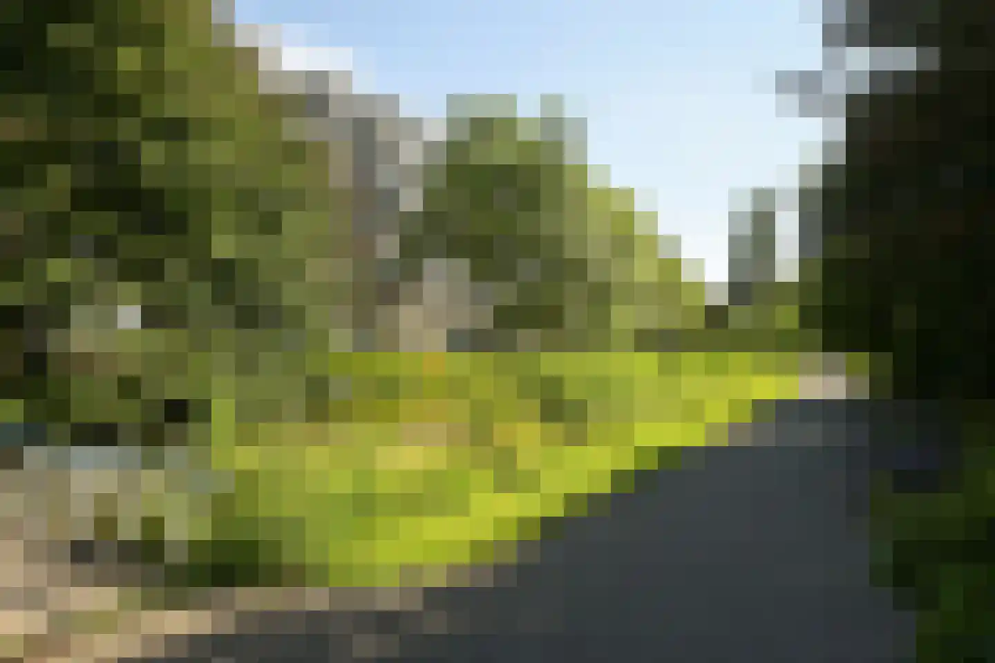 Stadhoudersplantsoen 14 Den Haag thumbnail 52