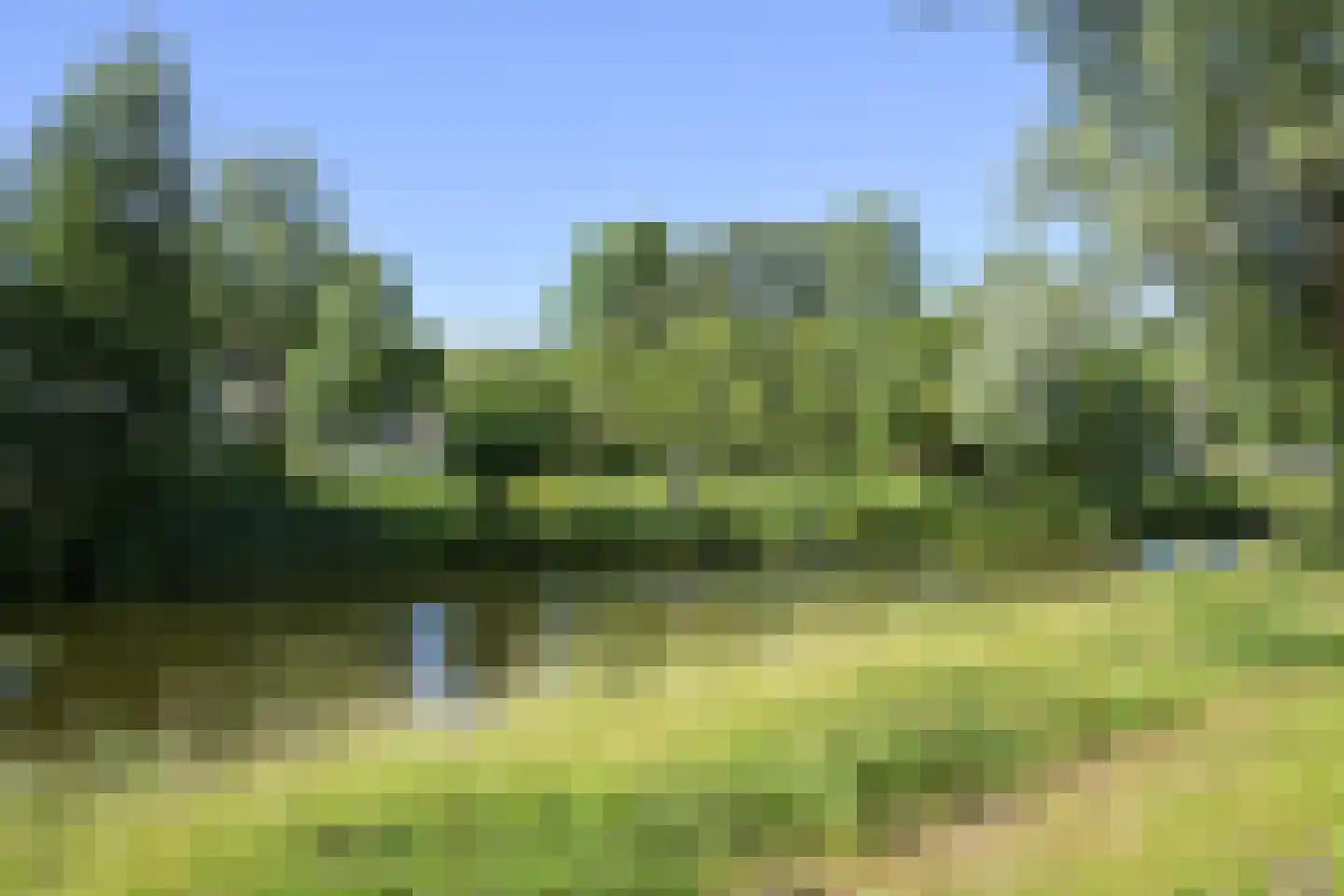 Stadhoudersplantsoen 14 Den Haag thumbnail 54