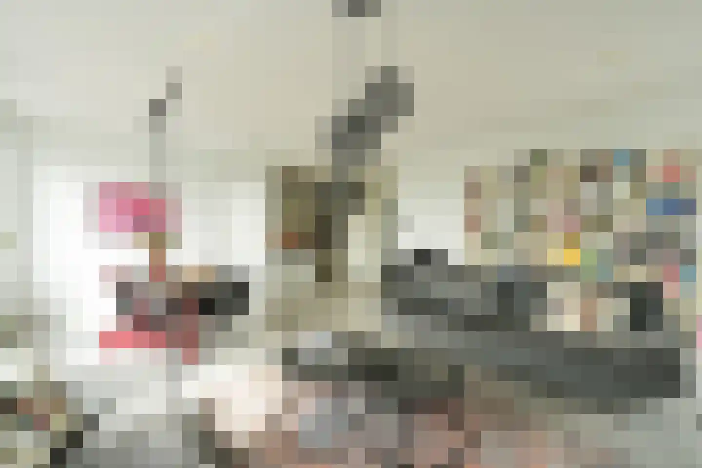 Stadhoudersplantsoen 14 Den Haag thumbnail 6