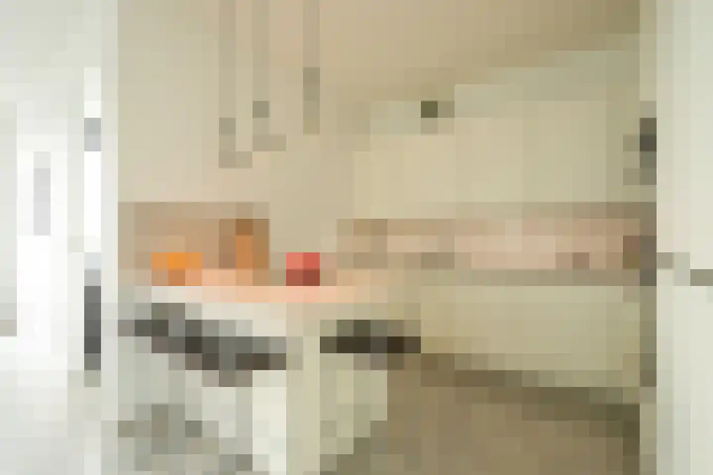 Stadhoudersplantsoen 14 Den Haag thumbnail 7