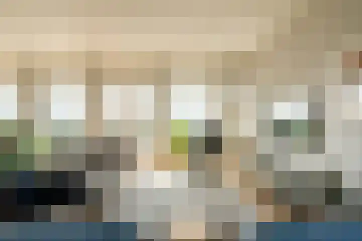 Stadhoudersplantsoen 2 L Den Haag thumbnail 15
