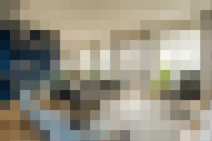 Stadhoudersplantsoen 2 L Den Haag thumbnail 16