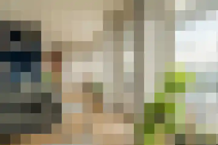 Stadhoudersplantsoen 2 L Den Haag thumbnail 17