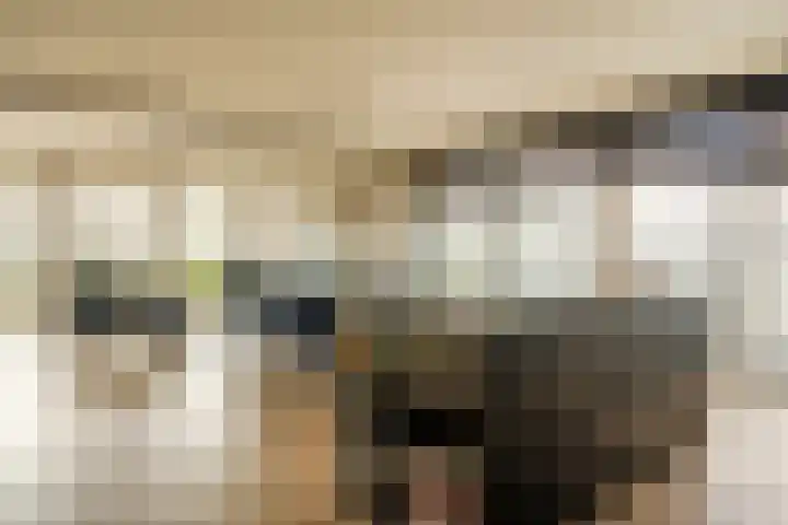 Stadhoudersplantsoen 2 L Den Haag thumbnail 19