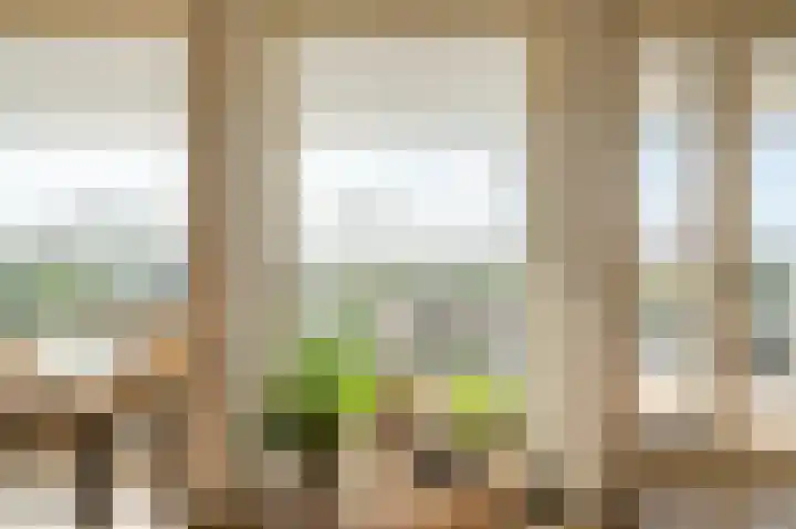 Stadhoudersplantsoen 2 L Den Haag thumbnail 23