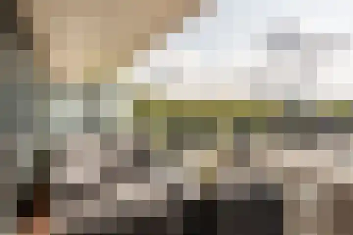 Stadhoudersplantsoen 2 L Den Haag thumbnail 24