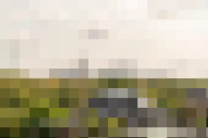 Stadhoudersplantsoen 2 L Den Haag thumbnail 25